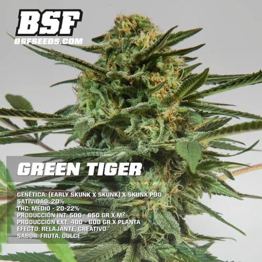 green tiger bsf